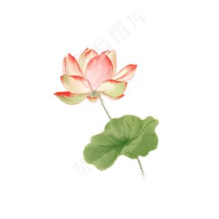 中国风荷花水彩画