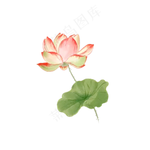 中国风荷花水彩画