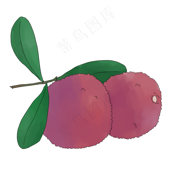 手绘水果杨梅插画