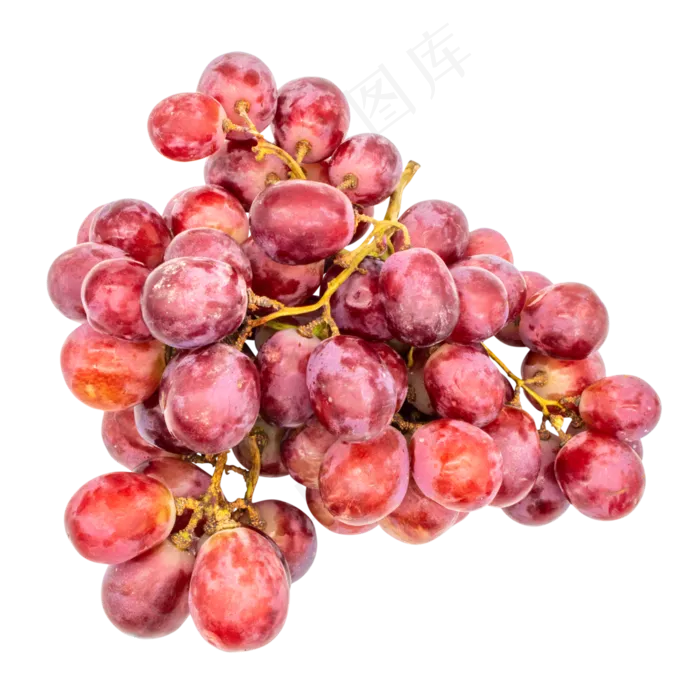 水果紫色提子(2000X2000(DPI:300))