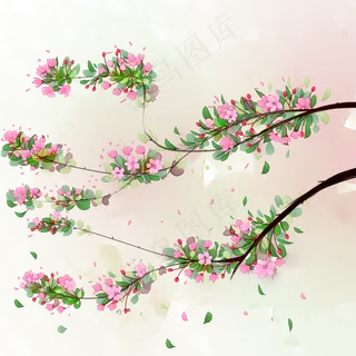 海棠花树枝春季花卉插图,免抠元素 海棠花树枝春季花卉插图,免抠元素