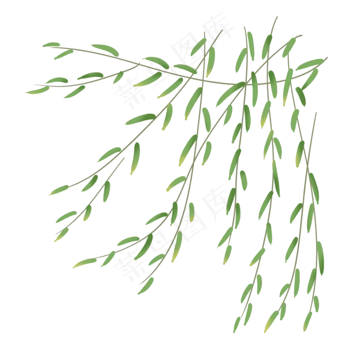 清明节漂浮的柳树柳芽枝芽,免抠元素