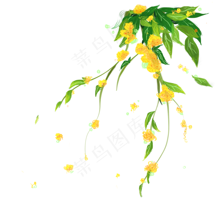 黄色桂花花藤(2000X2000(DPI:300))psd模版下载