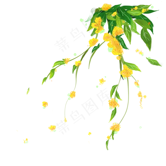 黄色桂花花藤(2000X2000(DPI:300))psd模版下载