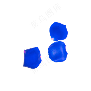 三片蓝色妖姬花瓣实物拍摄免抠