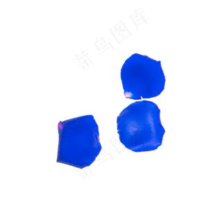 三片蓝色妖姬花瓣实物拍摄免抠