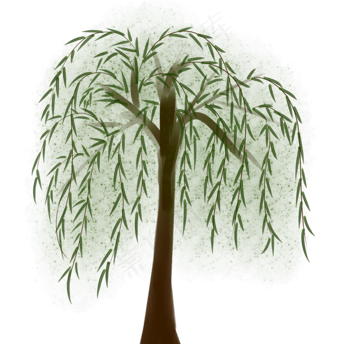 春天清明节柳树手绘