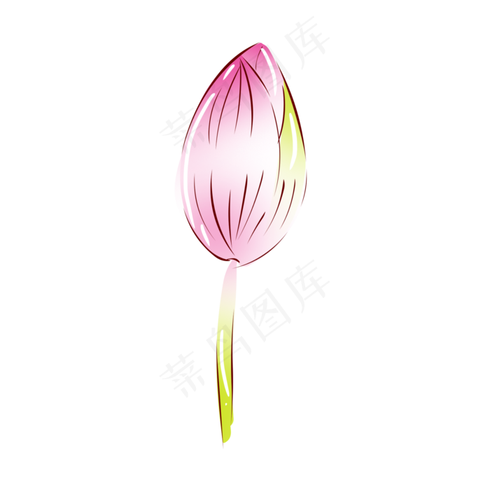 手绘花小清新植物粉色荷花花苞(2000X2000(DPI:300))psd模版下载