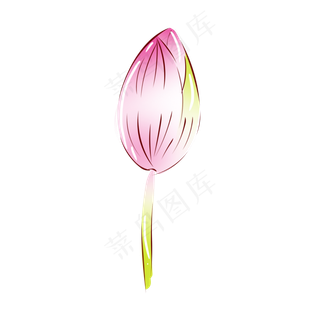 手绘花小清新植物粉色荷花花苞