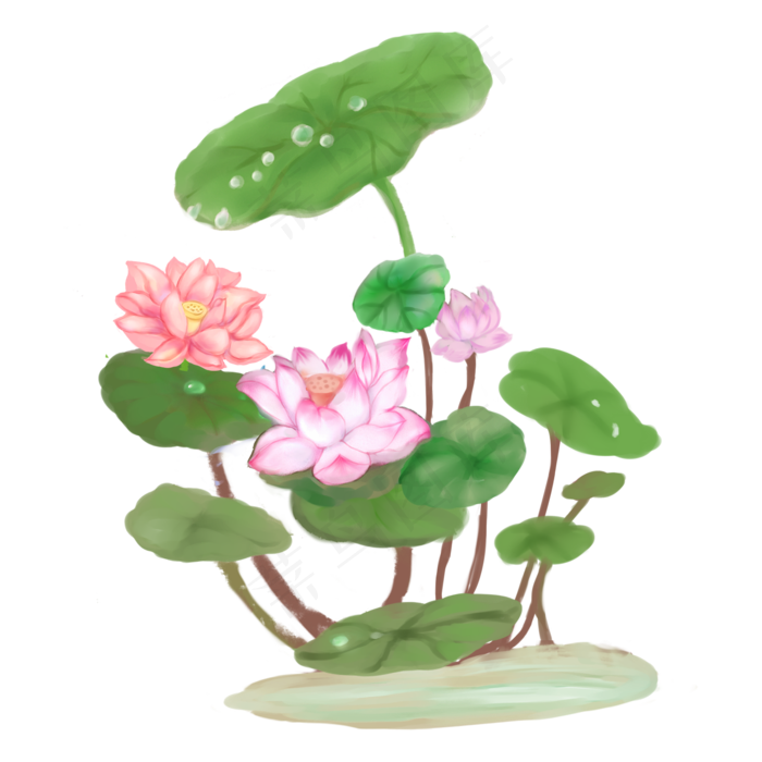 燕子荷花优美水墨画封面(2000*2000px 300 dpi )psd模版下载
