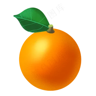 夏季水果橙子