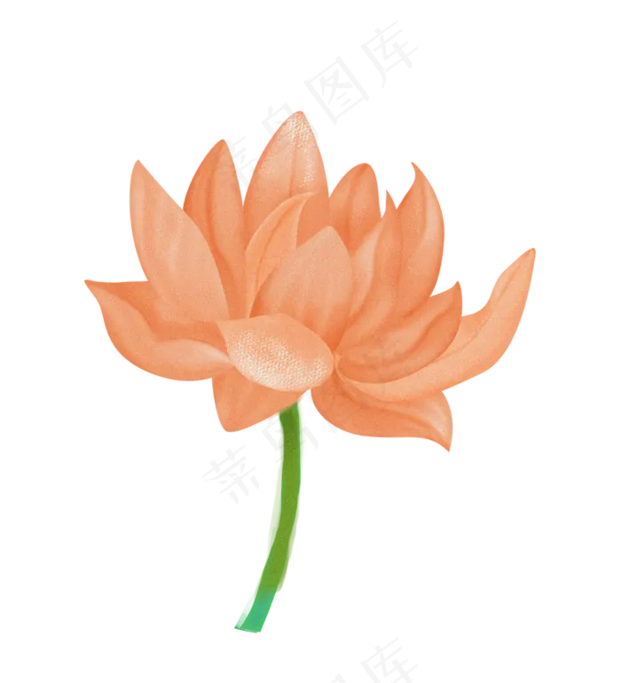 粉色荷花水生植物(2357X2592(DPI:300))psd模版下载
