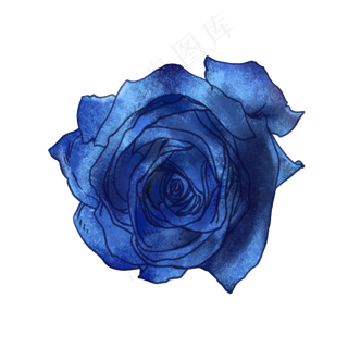 蓝色玫瑰