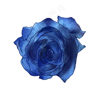 蓝色玫瑰
