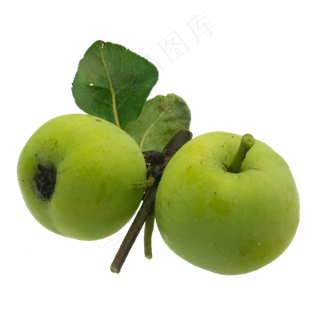 青苹果水果