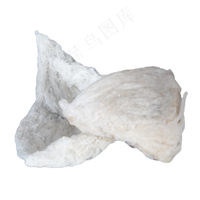 两片白色燕窝,免抠元素