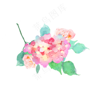 水彩玫瑰绣球花素材