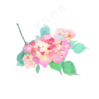 水彩玫瑰绣球花素材