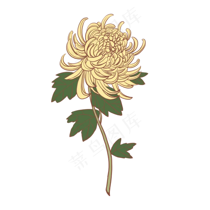 手绘菊花绿叶黄色的花(2000X2000(DPI:300))psd模版下载