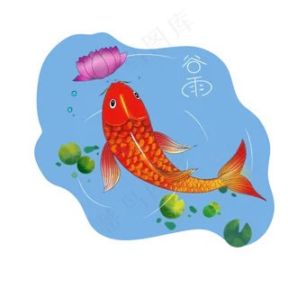 节气红色锦鲤谷雨雨水PNG农历