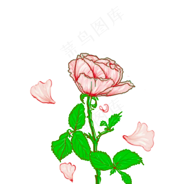 手绘粉红色一束花透明底素材元素(1024X1024(DPI:300))psd模版下载