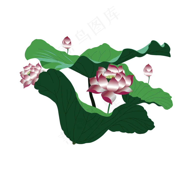 植物荷花荷叶夏天简笔画简约绿色(2000X2000(DPI:300))ai矢量模版下载