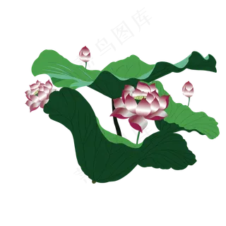 植物荷花荷叶夏天简笔画简约绿色