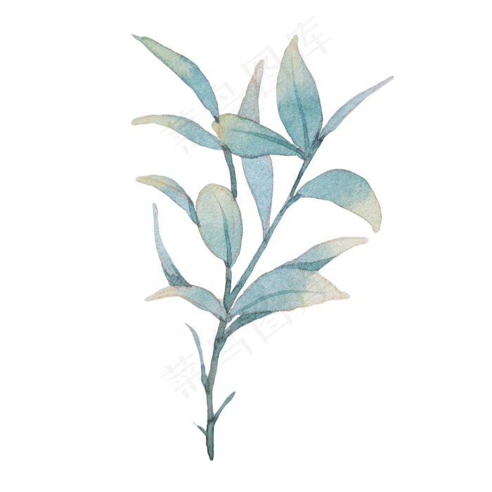 树叶水彩植物