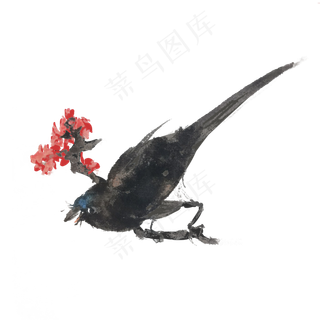 夏季水墨花鸟手绘,免抠元素