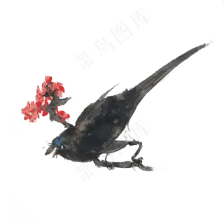 夏季水墨花鸟手绘,免抠元素