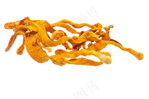 黄色药材虫草花