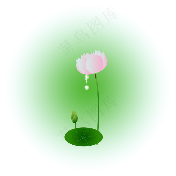 夏日荷花清新精美(3334*3334px 300 dpi )ai矢量模版下载