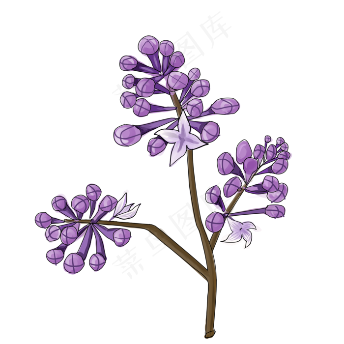 紫色植物花枝插画