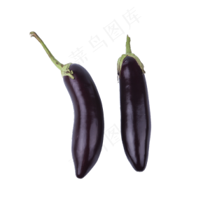 茄子（png免抠）