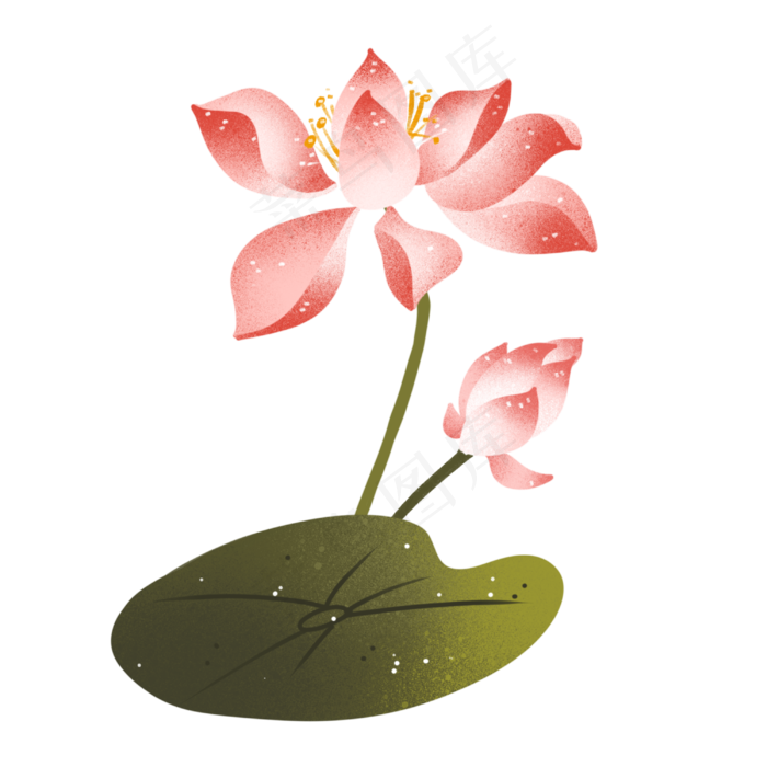 粉色荷花莲花(3000X3000(DPI:300))psd模版下载