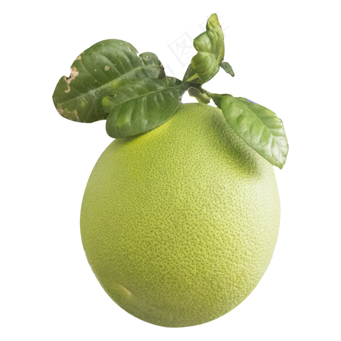 绿色柚子