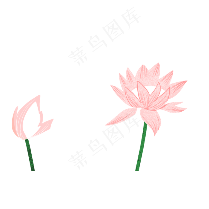 卡通粉色荷花下载(2000X2000(DPI:300))psd模版下载