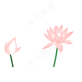 卡通粉色荷花下载