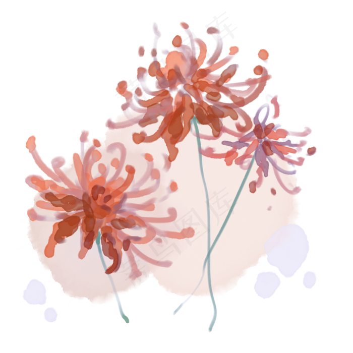 彼岸花荼蘼浪漫装饰(2000X2000(DPI:300))psd模版下载