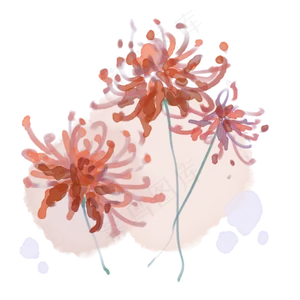 彼岸花荼蘼浪漫装饰