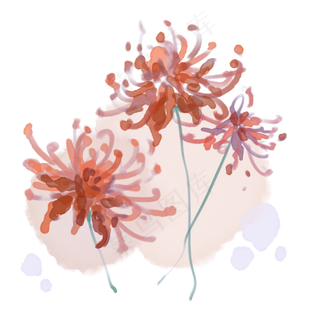 彼岸花荼蘼浪漫装饰