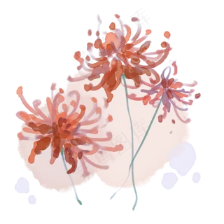 彼岸花荼蘼浪漫装饰 彼岸花荼蘼浪漫装饰