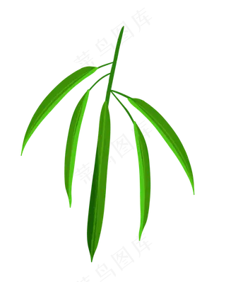 卡通绿色柳条插图