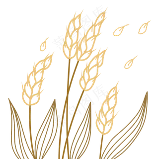 手绘秋天金黄的麦穗线性,免抠元素