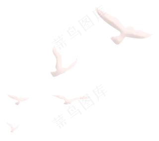 白色和平鸽鸽子,免抠元素