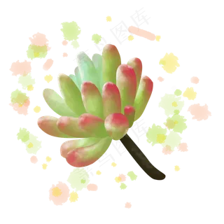 水墨画绿色植物多肉盛开彩色清新,免抠元素