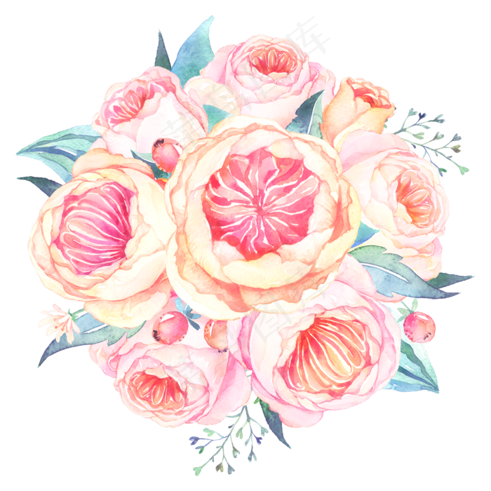 水彩花卉植物(3545X5315(DPI:300))psd模版下载