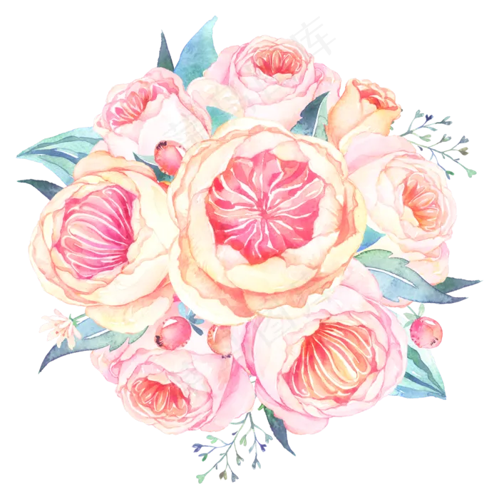 水彩花卉植物(3545X5315(DPI:300))psd模版下载