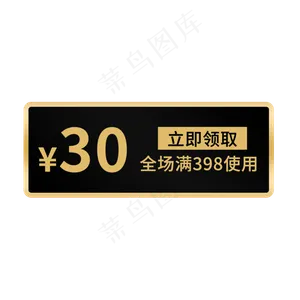 30元优惠券黑金风电商标签