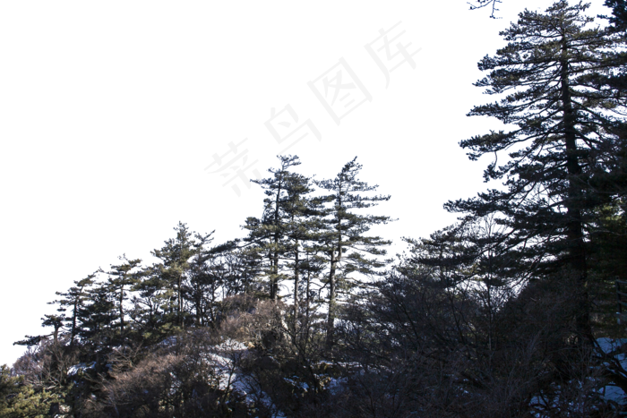 风景秀丽树木旺盛的山峰(2000X1333(DPI:300))psd模版下载